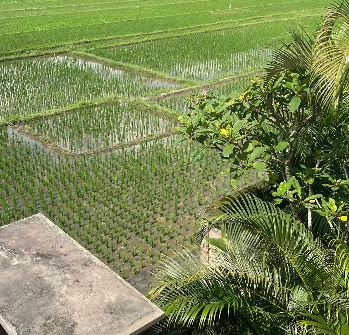 Heaven Villa Ubud