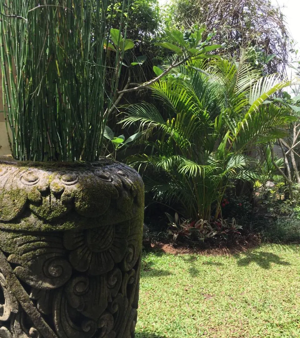 Heaven Villa Ubud